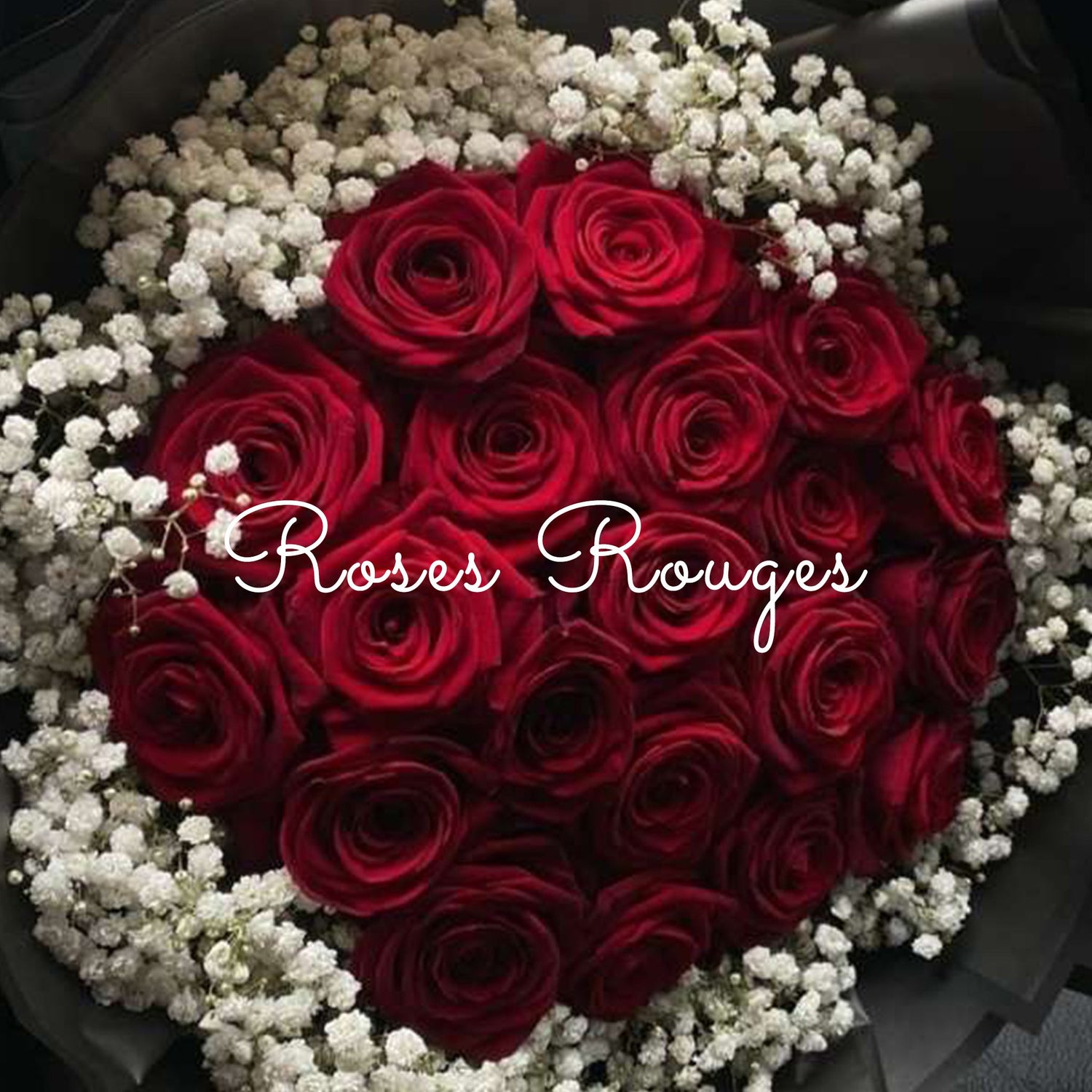 Roses Rouges