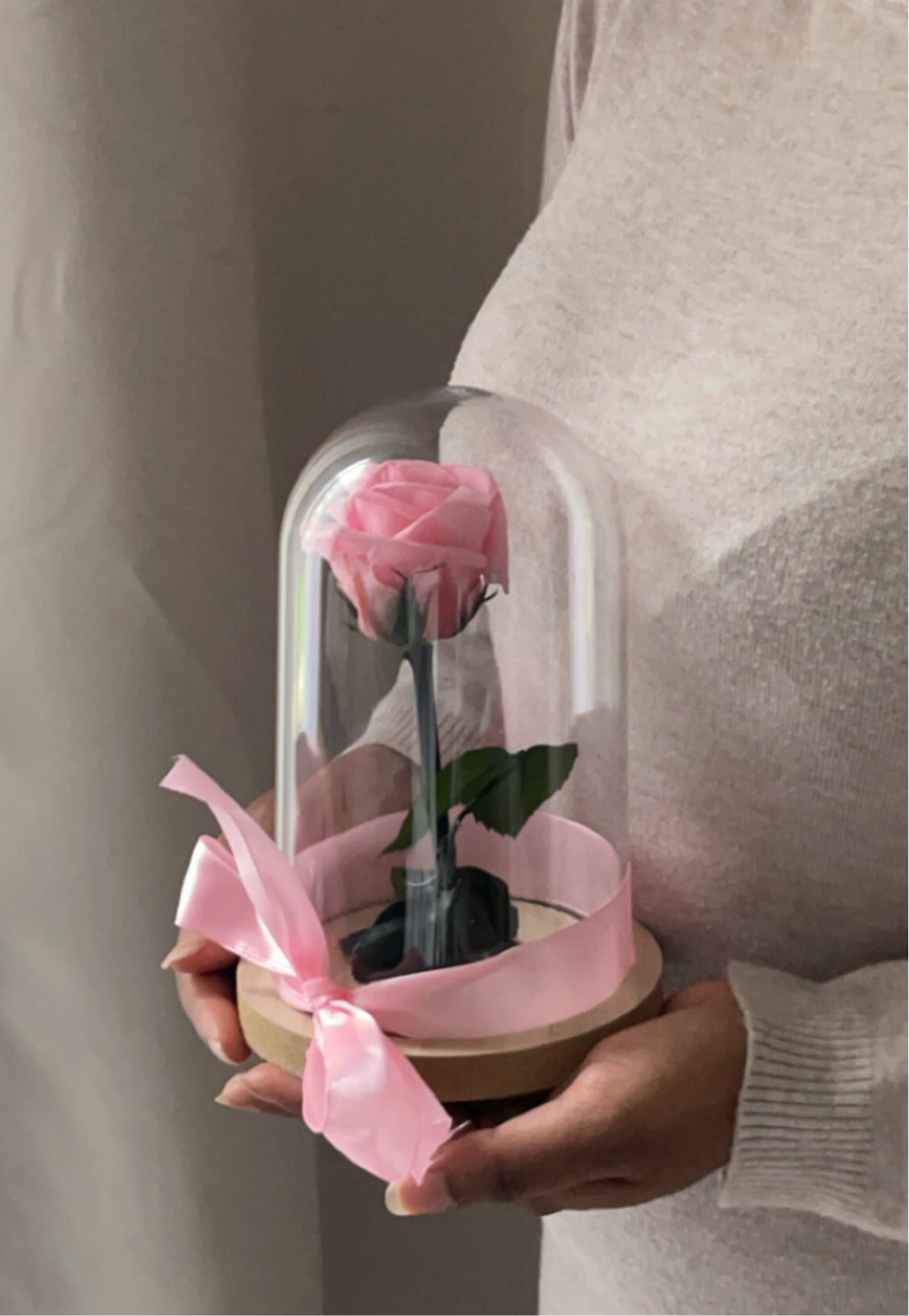 Rose Éternelle sous cloche