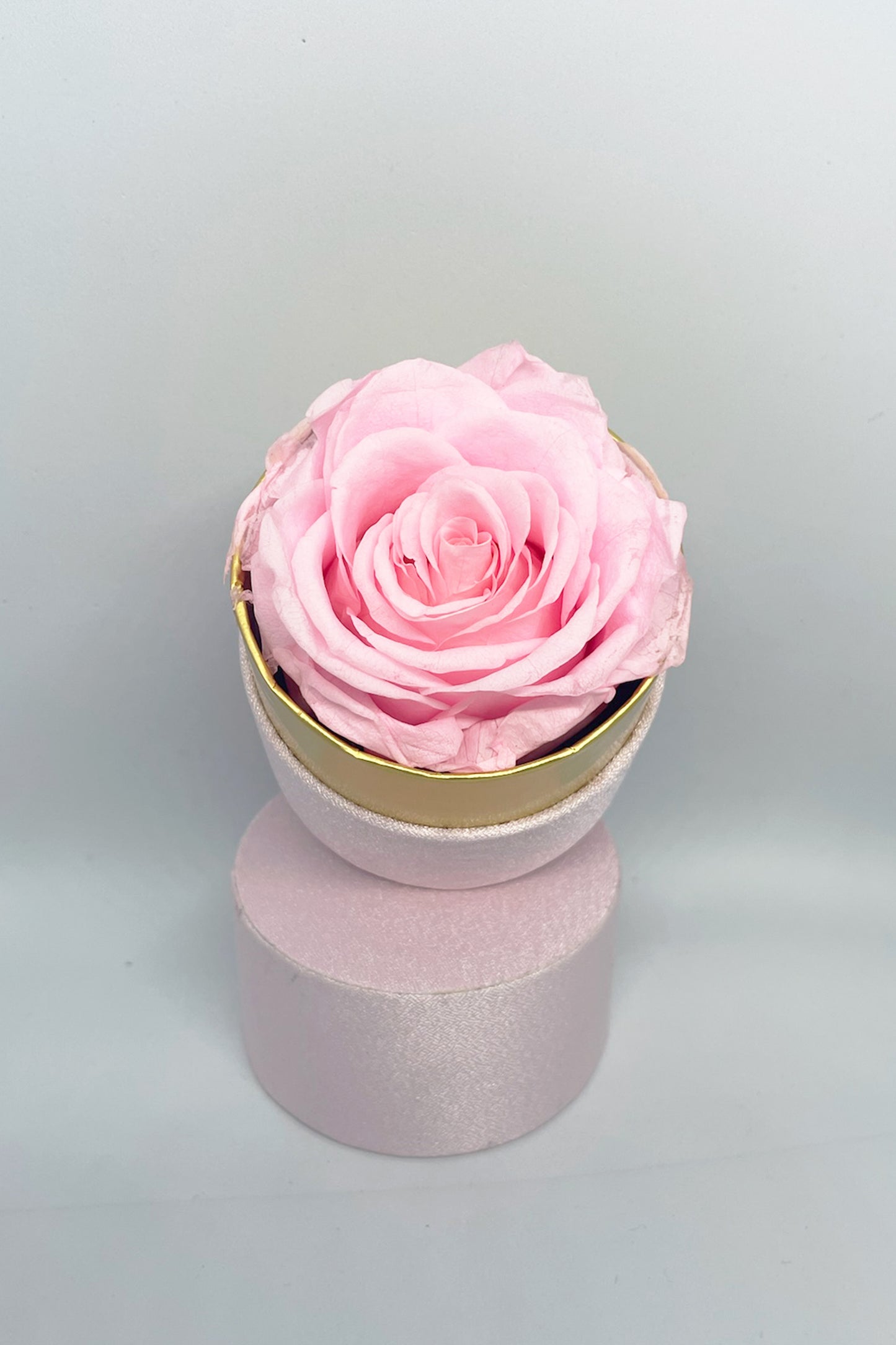 Rose Éternelle Solitaire